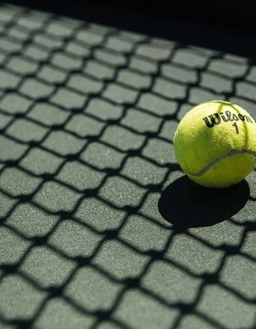 Load image into Gallery viewer, Championship Extra Duty Tennis Ball - 3 Ball Can
