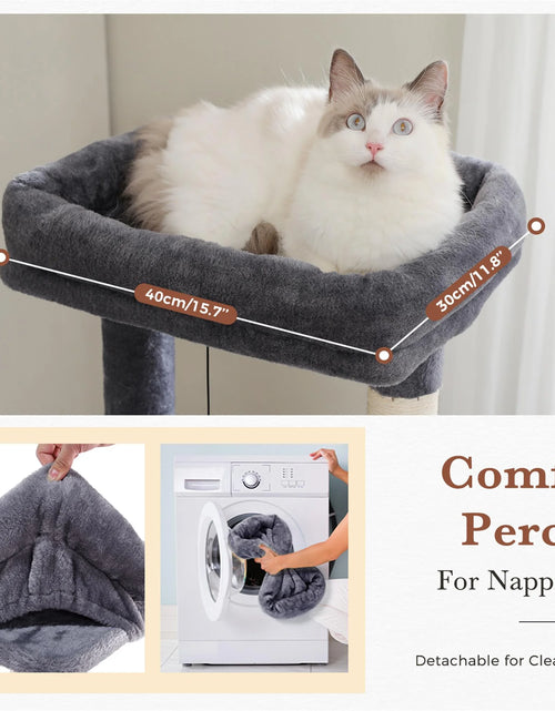 Load image into Gallery viewer, 61" Cat Tree Tower for Indoor Cats with Platform and Scratching Posts, Cat Condo Cat Tree House in Pet Supplies, Gray
