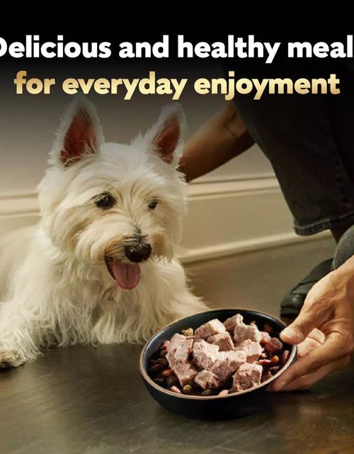 Load image into Gallery viewer, Cesar Classic Loaf in Sauce Grilled Chicken and Gravy Flavor Small Breed Wet Dog Food - 3.5Oz
