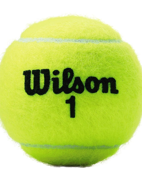 Load image into Gallery viewer, Championship Extra Duty Tennis Ball - 3 Ball Can
