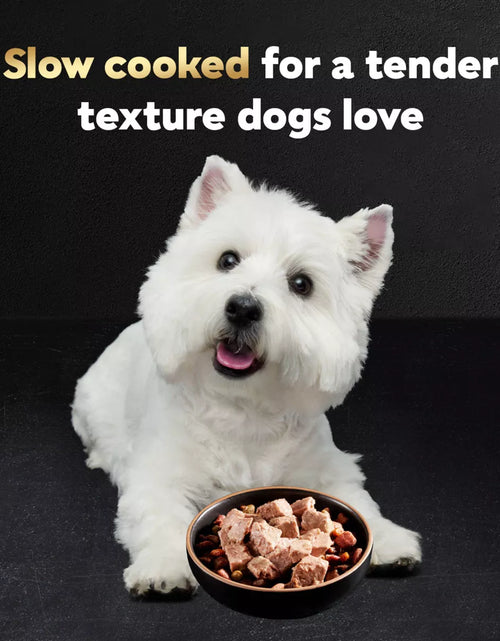 Load image into Gallery viewer, Cesar Classic Loaf in Sauce Grilled Chicken and Gravy Flavor Small Breed Wet Dog Food - 3.5Oz
